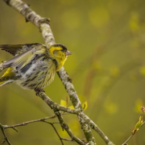 Untitled (80 Of 343).jpg